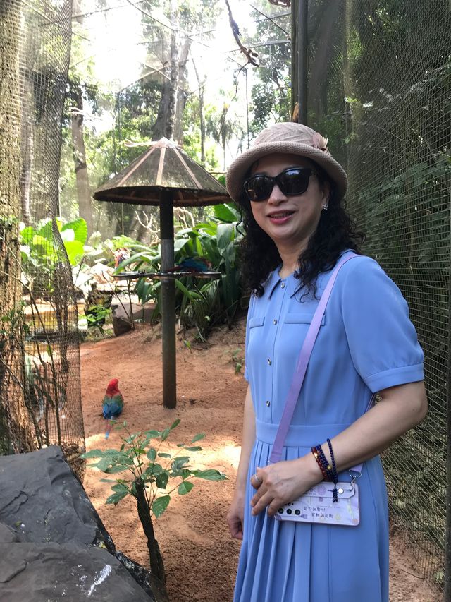 伊瓜蘇百鳥園