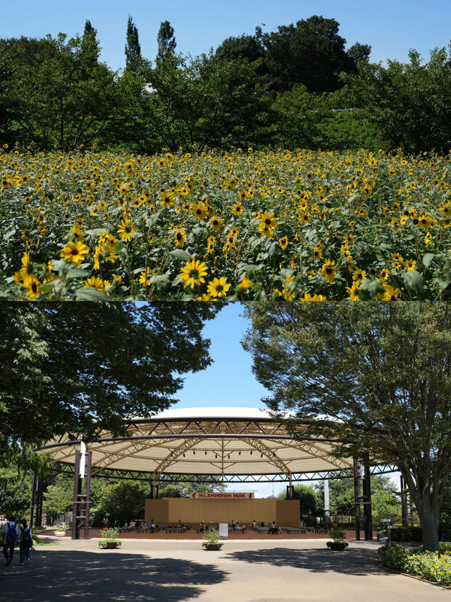 超級詳細的日本船橋市旅遊