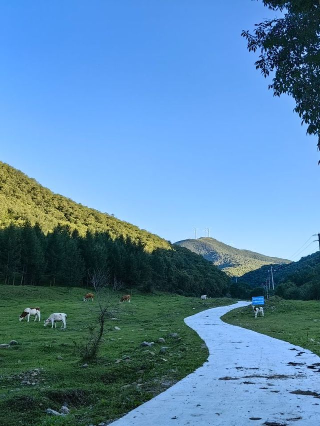 冬日玩雪好去處北京-崇禮區-壩上5日遊攻略