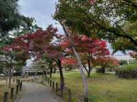 家人們誰懂啊！在蘆城公園狠狠拿捏鬆弛感