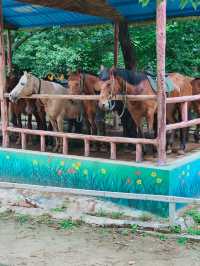 哇塞秦嶺野生動物園，動物愛好者的夢幻天堂