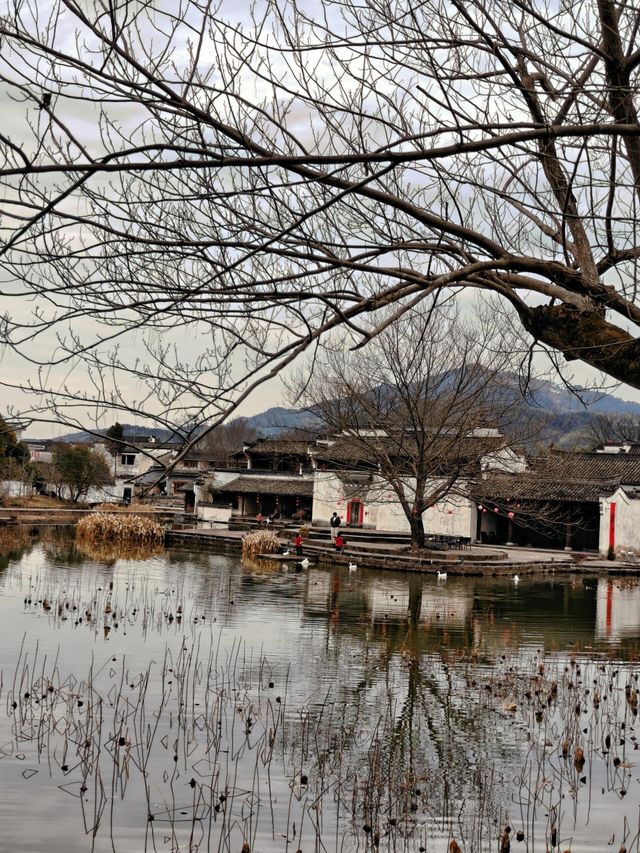 呈坎旅遊攻略 | 邂逅千年古村的詩意時光
