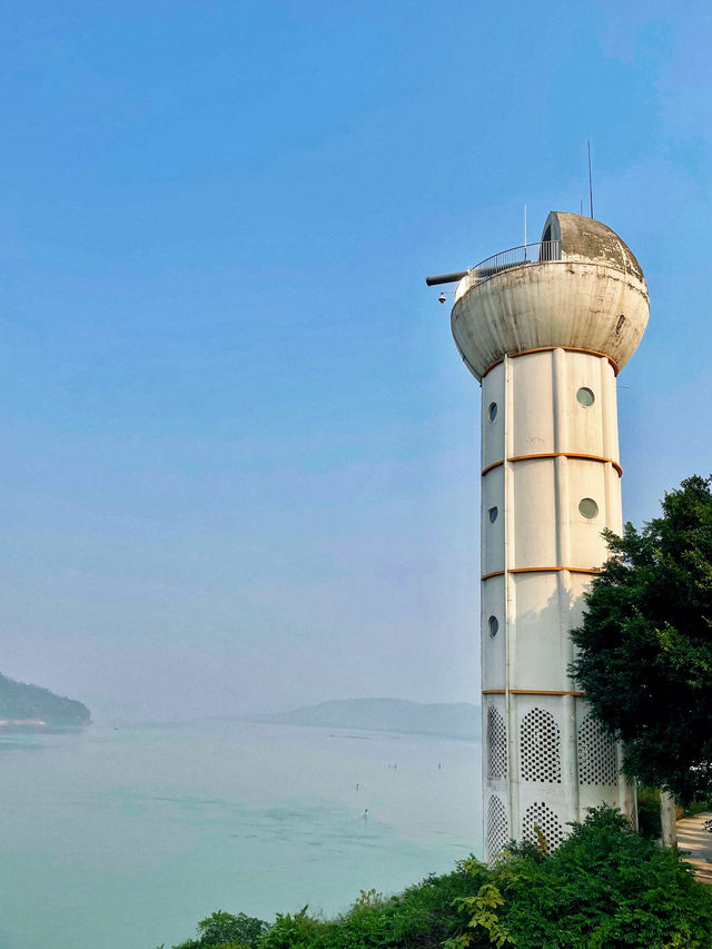 重慶春日踏青出遊好去處：廣陽島