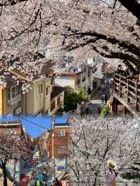 蔚山——韓國隱藏的寶藏城市！