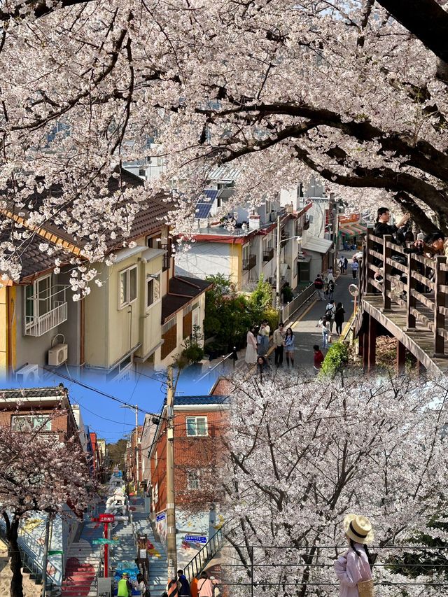 蔚山——韓國隱藏的寶藏城市！