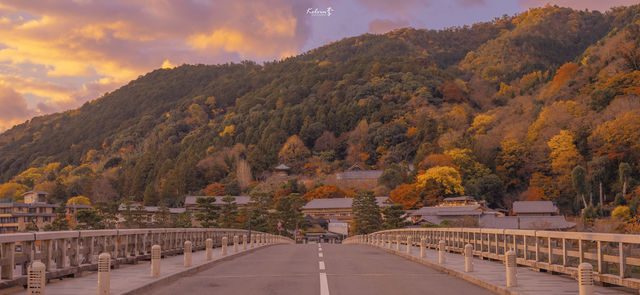 岚山渡月桥の日の出