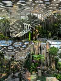 上海植物園，玻璃穹頂下的植物百科。