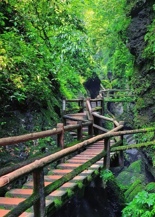 小眾旅遊路線之青城山