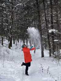 還在找雪鄉／伊春的平替？來看看這個驚喜吧！
