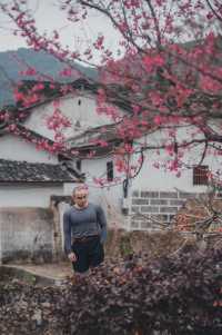 韶關山水間，藏著嶺南最磅礴的春天