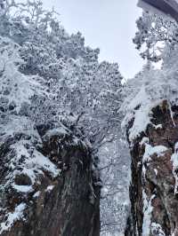 5天暢遊成都-峨眉山-樂山 熱門風景一網打盡