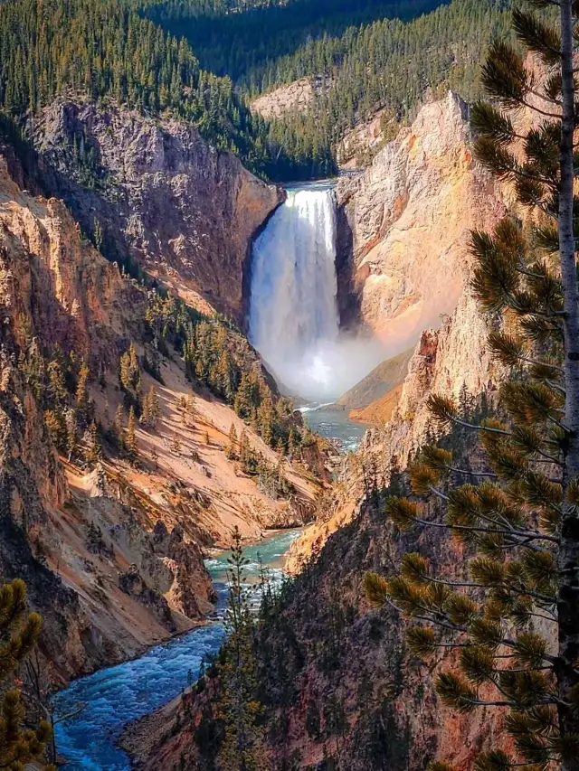 A 14-Day Tour of the US: Don't Miss the Limited-Time Winter Scenery