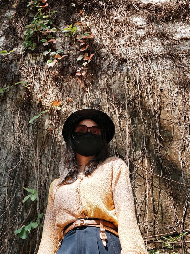穿越深中通道，解鎖中山藏在歲月裡的溫柔