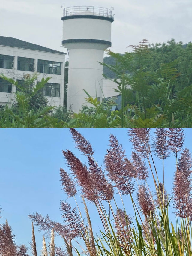 逃離人潮，在宜昌點軍艾家鼓浪嶼擁抱自然