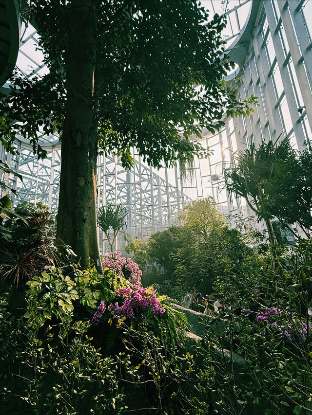 上海溫室花園🪴