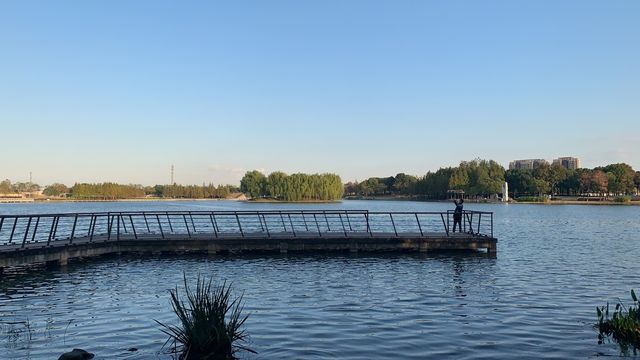 上海嘉定週末遊：湖光與藝術的浪漫邂逅