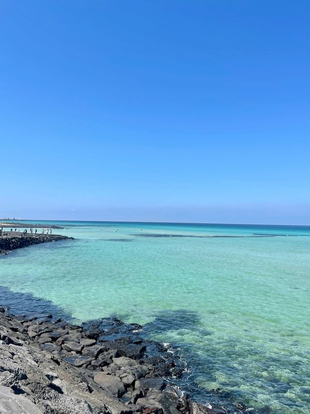 韓國4日探秘 森林之旅不打烊