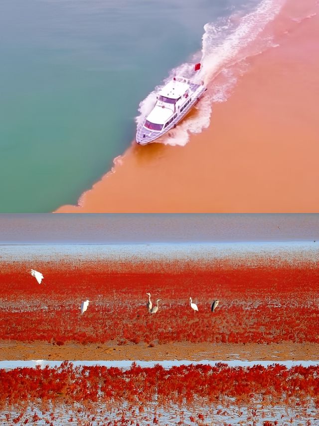 一次旅行，雙重體驗！
