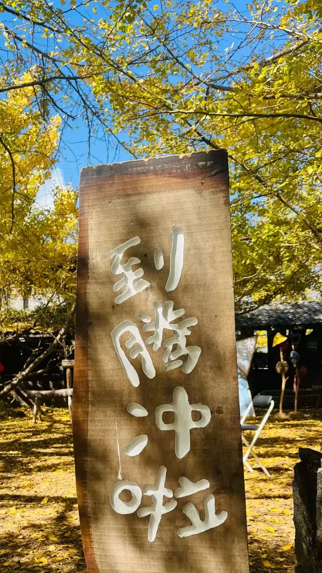 Experience a Golden Fairytale World!