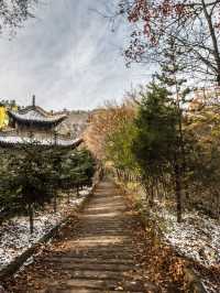 8日暢遊甘肅蘭州-甘南-拉卜楞寺 超詳細攻略來襲