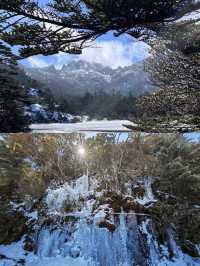承包整片仙境的雪山秘境