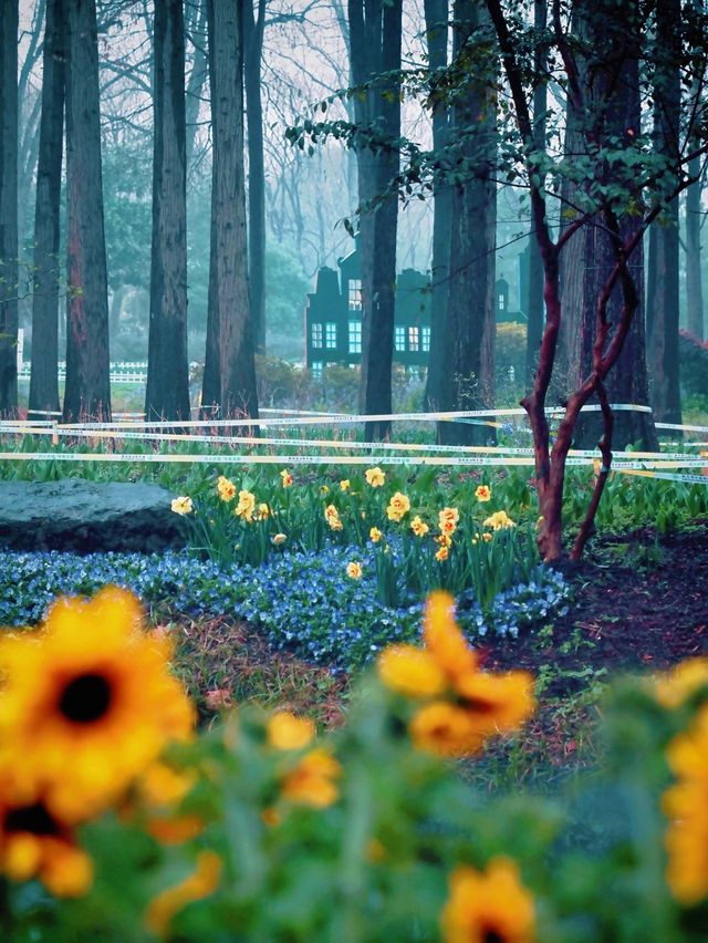 春季家庭遊中山植物園，小白必看