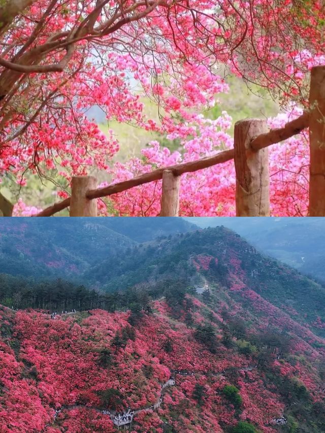 這個地方真的非常舒服！