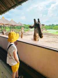 Safari World Bangkokis such an awesome world❤️🤍