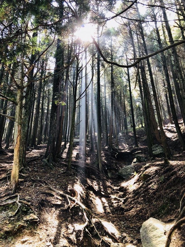 清明踏春 江西南昌-廬山-景德鎮旅遊攻略來啦