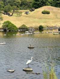 2天玩盡日本精華快收藏不怕遺漏