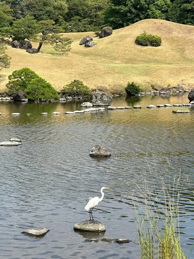 2 Days in Japan: A Quick Guide