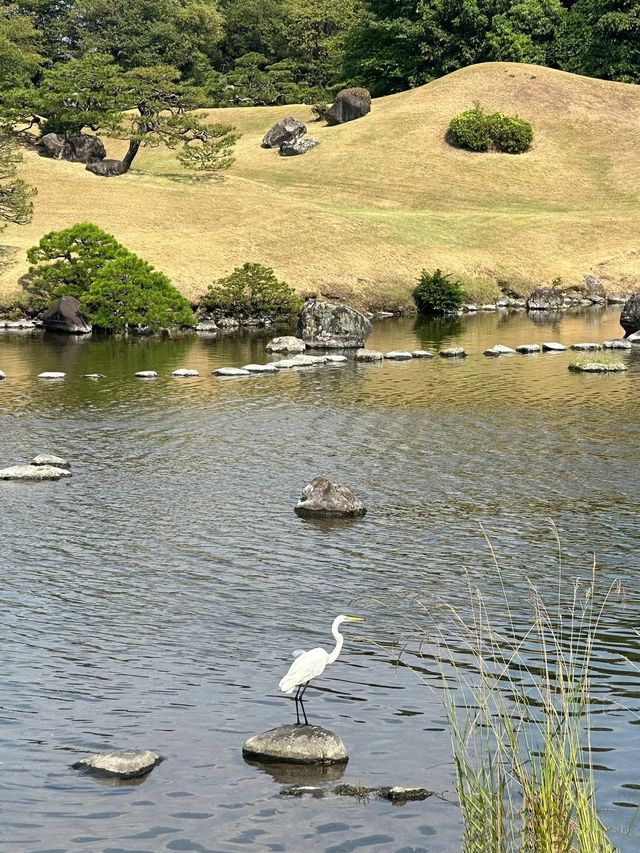 2天玩盡日本精華快收藏不怕遺漏