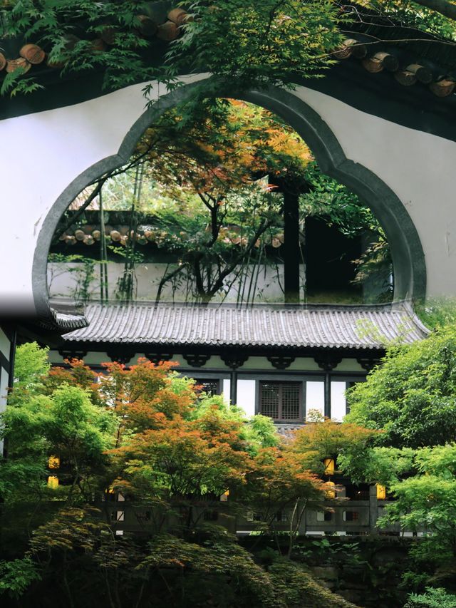 朋友都以為我出國了