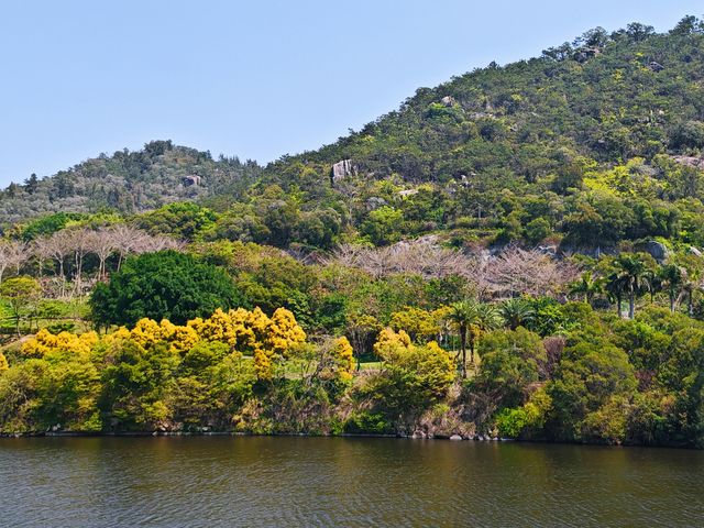 上李水庫踏春