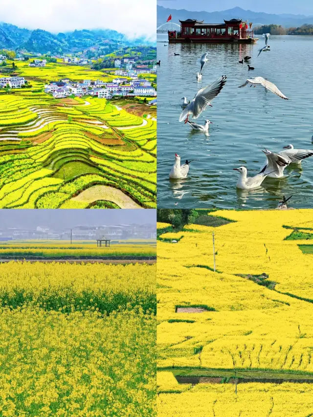 Hanzhong trip completed! I really don't recommend visiting in March–April, because…
