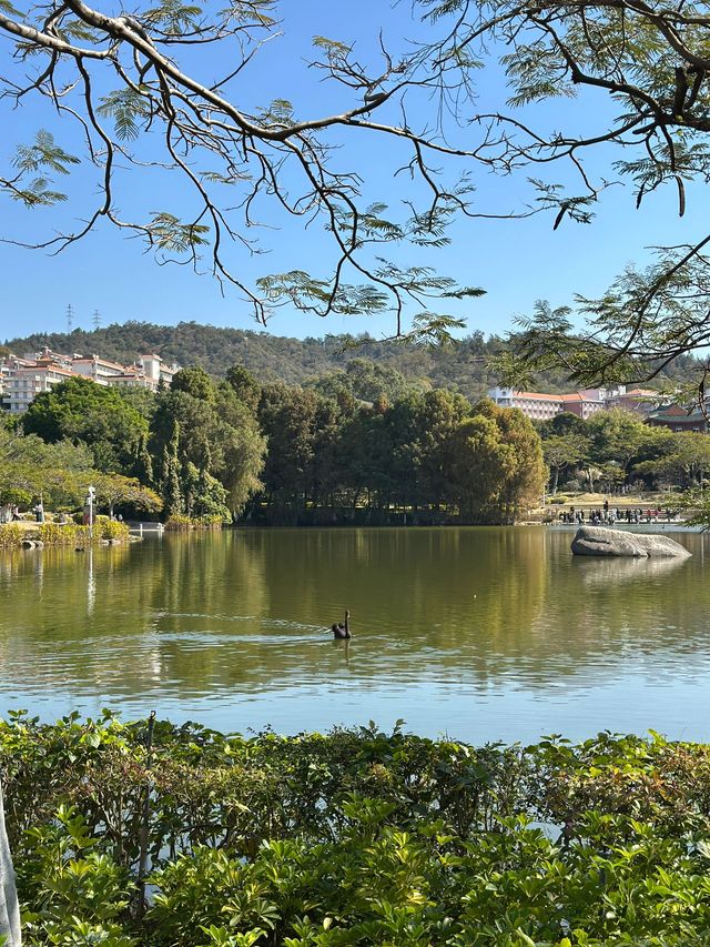 廈門-泉州5日遊 玩轉熱門風景別錯過這幾個地方
