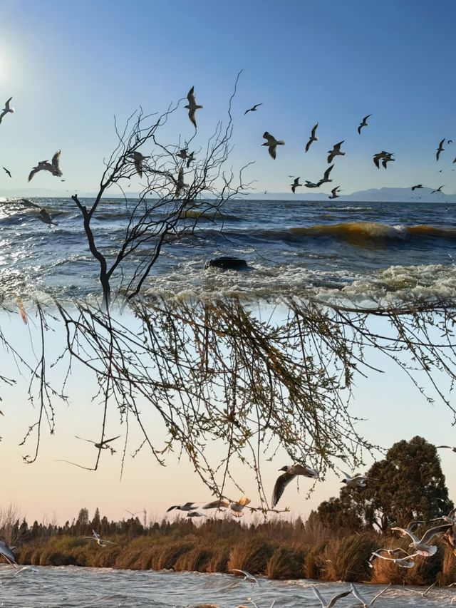 不是在海邊而是在撈魚河濕地公園！！