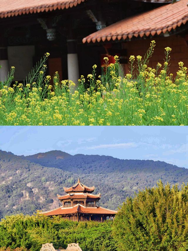 春日闖進泉州，邂逅半城煙火半城仙