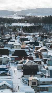 美瑛｜我願稱之為最北海道的城市 慢節奏

