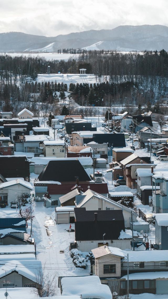 美瑛｜我願稱之為最北海道的城市 慢節奏
