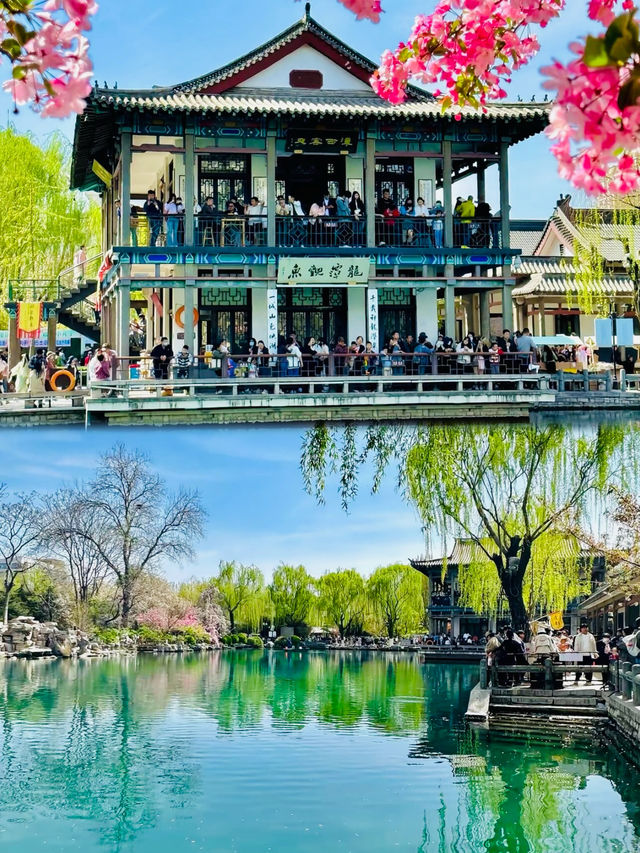 濟南嘅春天真係好正呀！
