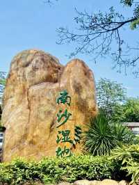 逐水尋夢：南沙濕地的自然詩意