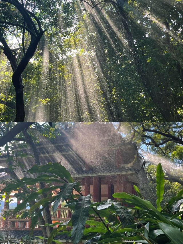 龍潭大峽谷，仲有幾多我唔知嘅驚喜？