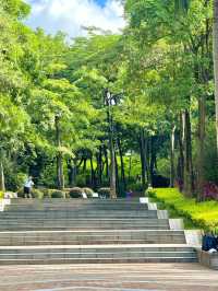 南山公園,超級愜意的深圳城市綠洲✨