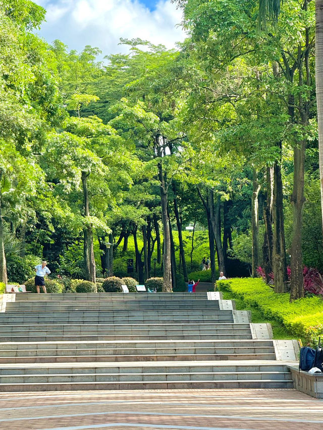 南山公園,超級愜意的深圳城市綠洲✨ 南山公園,超級愜意的深圳城市綠洲✨
