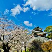 打卡日本福岡天滿宮