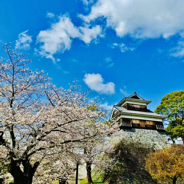 打卡日本福岡天滿宮