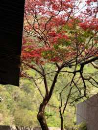私藏臨安絕色山水酒店｜杭州·明月松間·潛川