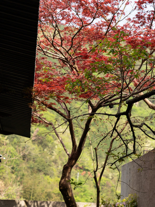 私藏臨安絕色山水酒店｜杭州·明月松間·潛川