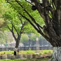 中山美術館江邊絕美公園🍃🌴👒太適合遛娃啦！